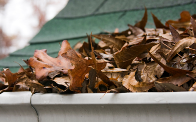 16 Ways To Keep Your Gutters Clean Through Each Season